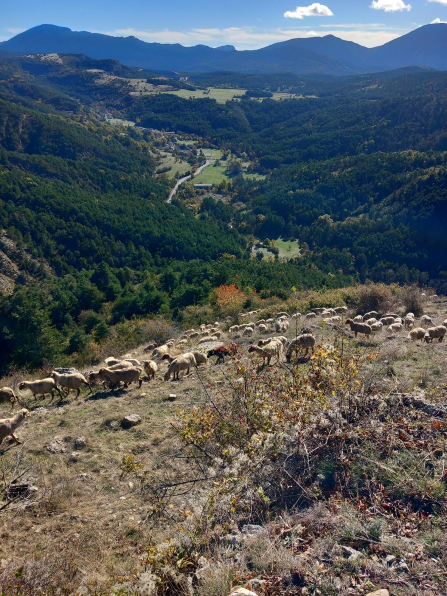 Gite La Mountagna Peyroules Εξωτερικό φωτογραφία