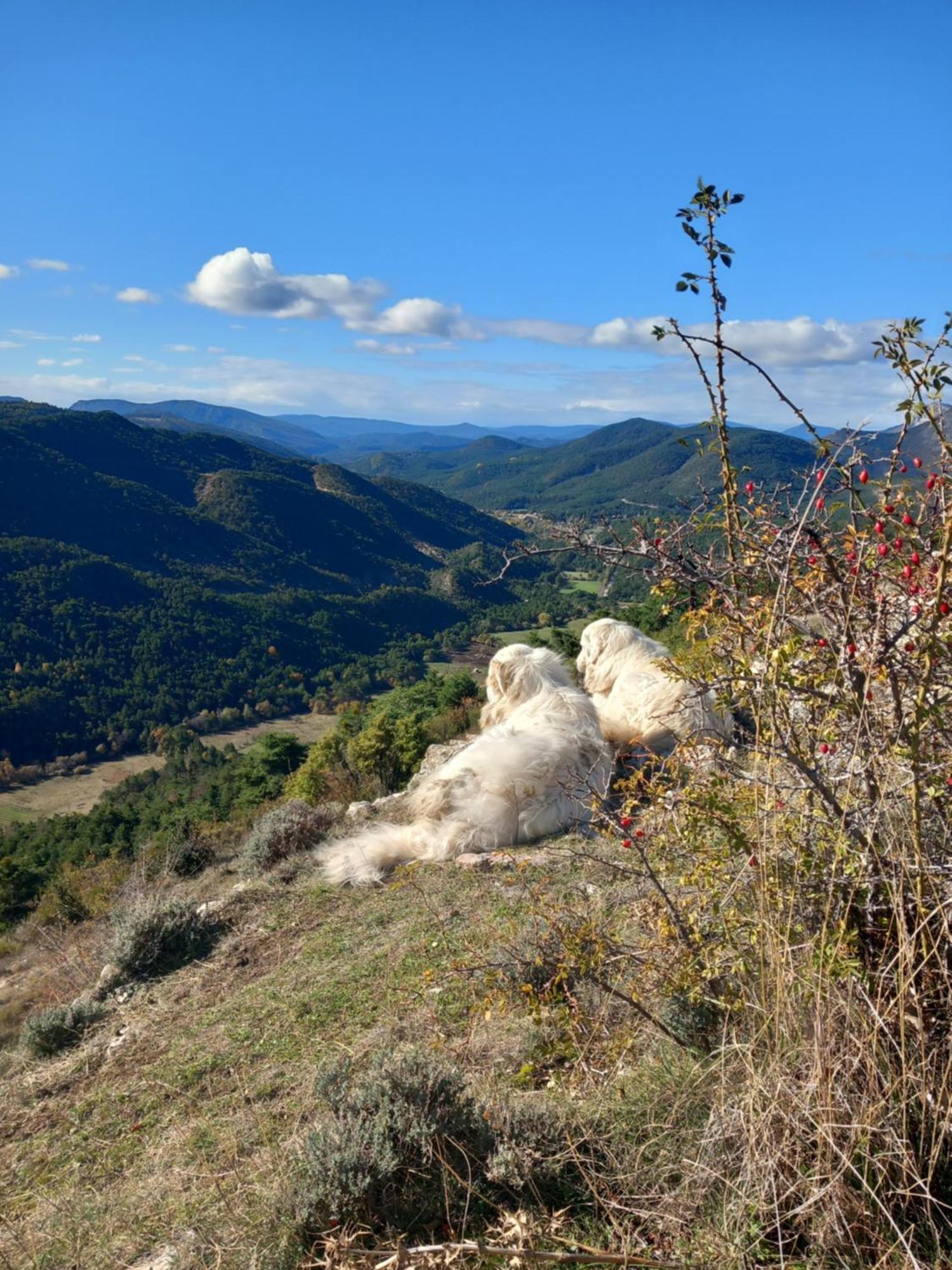 Gite La Mountagna Peyroules Εξωτερικό φωτογραφία